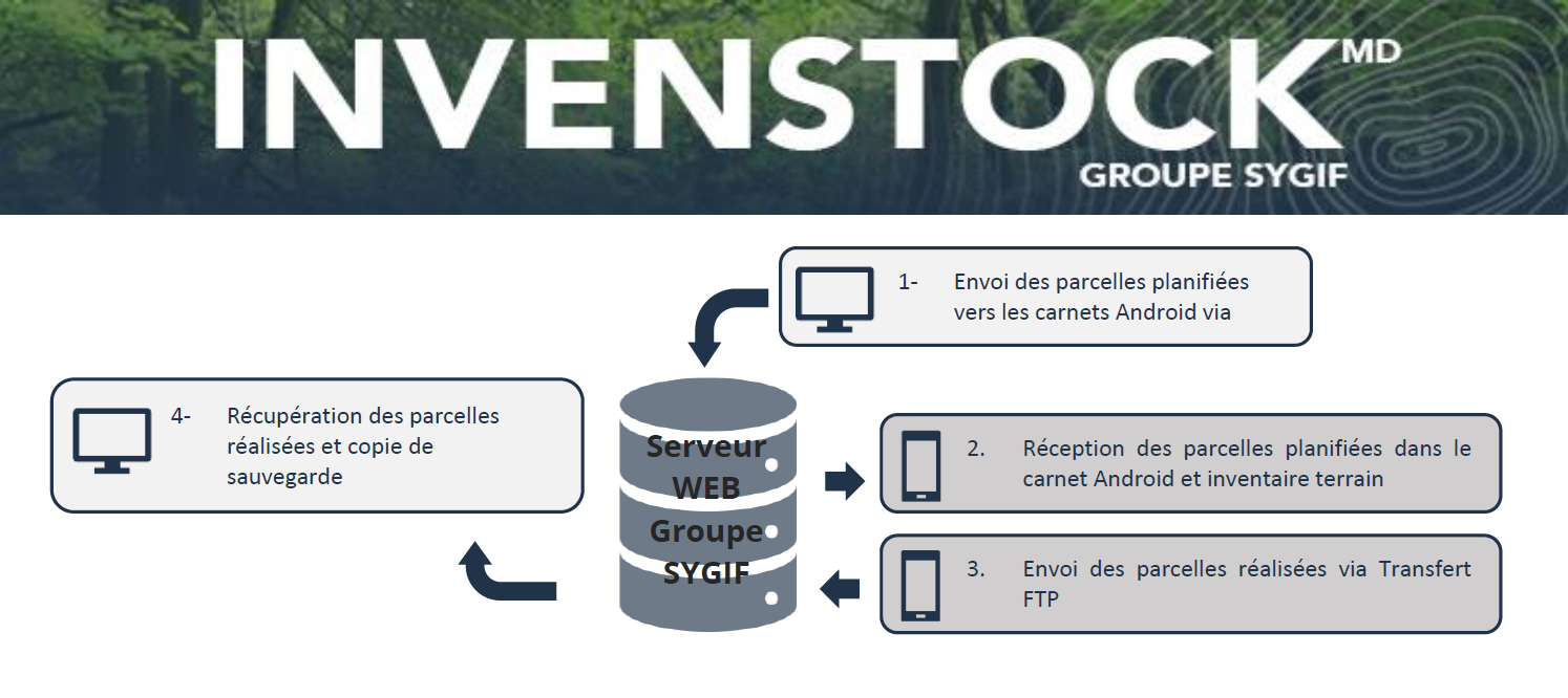 Schéma du tranfert FTP.png